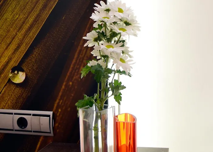 Bajo La Muralla Zamora